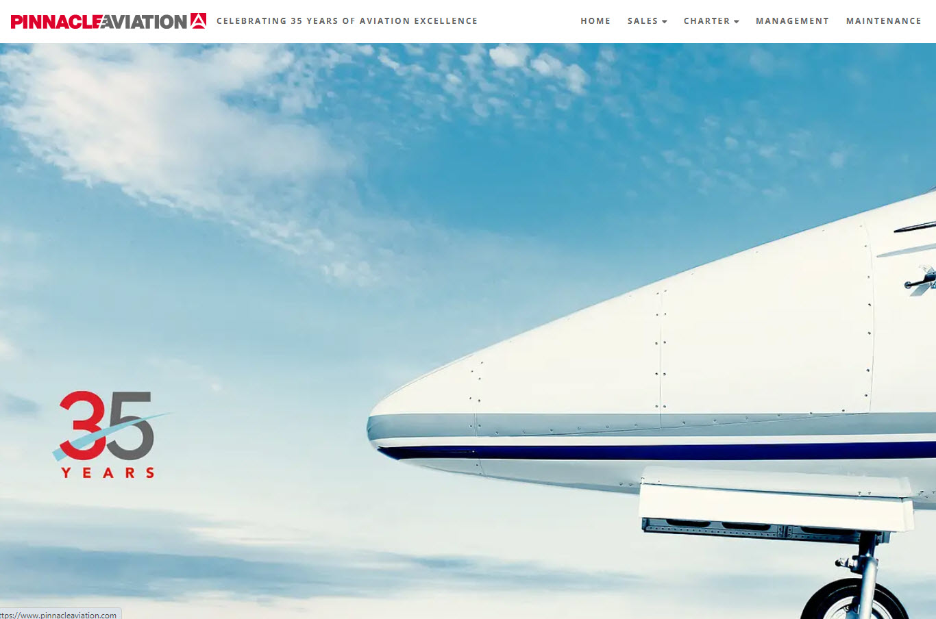 Pinnacle Private Jet Charter Service